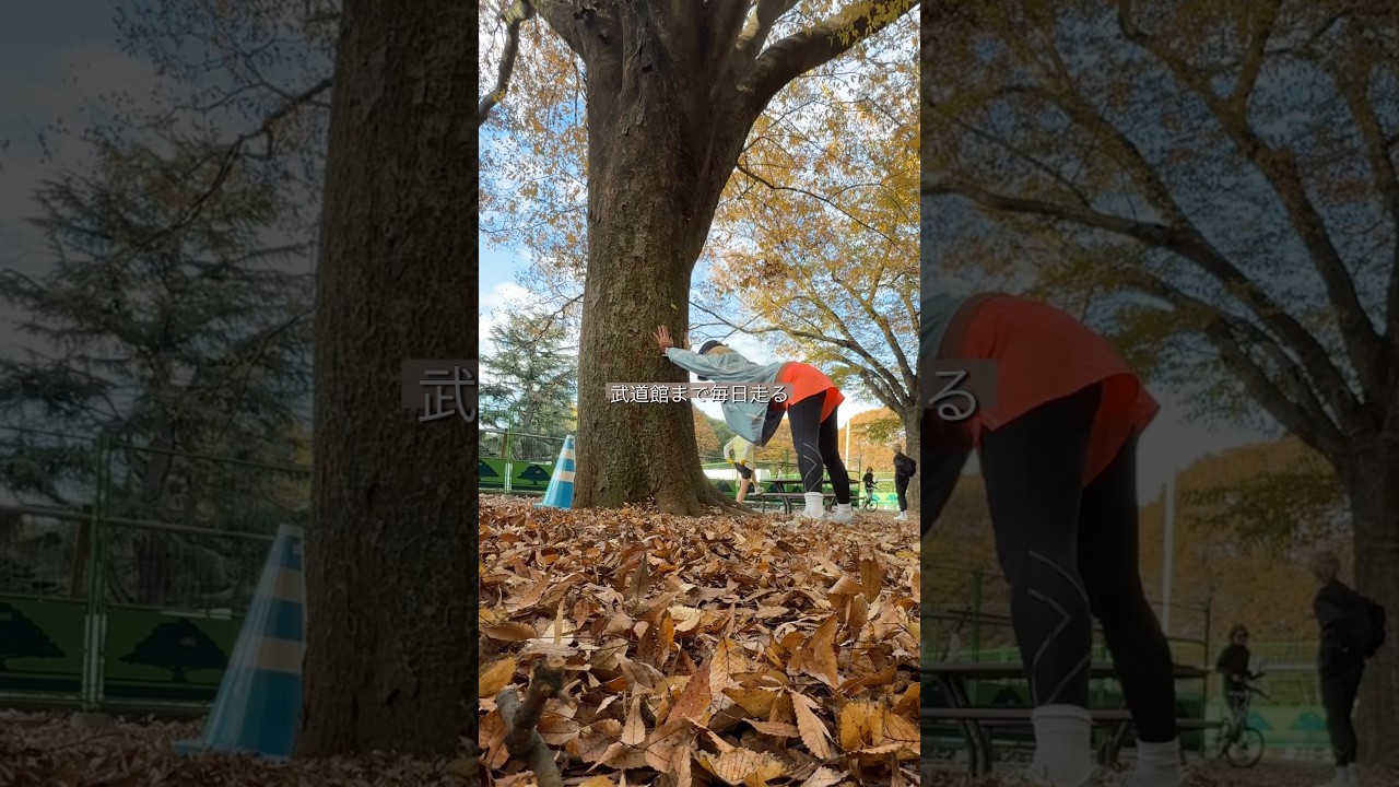 【あと16日】武道館コンサートまで