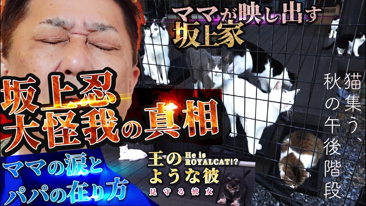 【真相に迫る】ママの涙とパパの在り方・坂上忍、大怪我の真相【夫婦の本音】