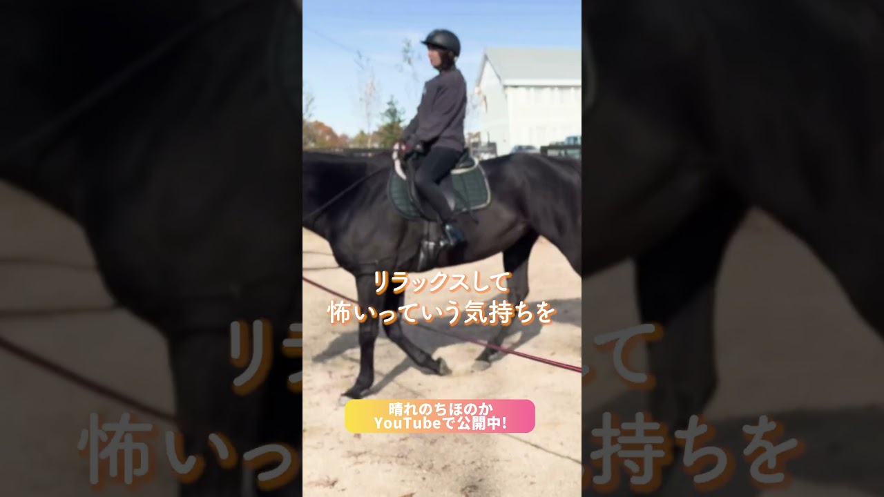 ビービーガルダン、人の気持ち分かりすぎ…！