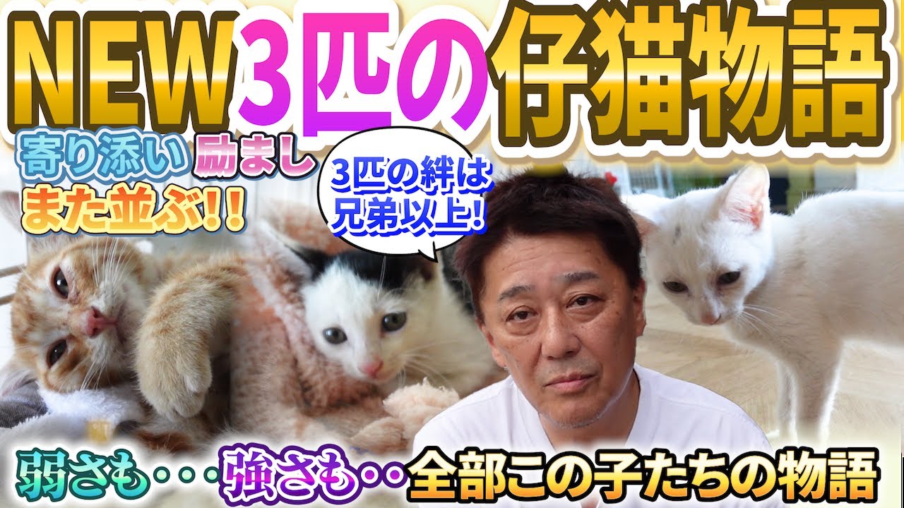 坂上家トレーラーハウスの新たな保護の物語