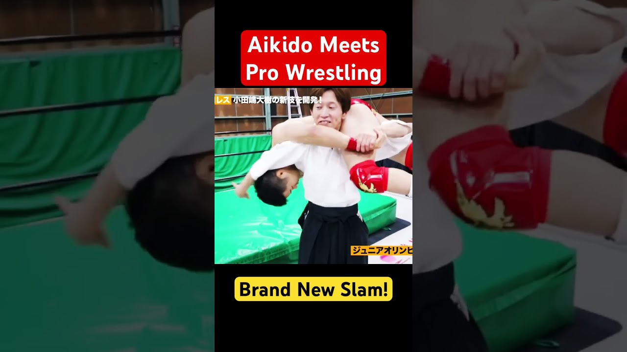 Aikido Techniques Applied in Pro Wrestling! #aikido #martialarts #wrestling #mma #japan #合気道 #プロレス