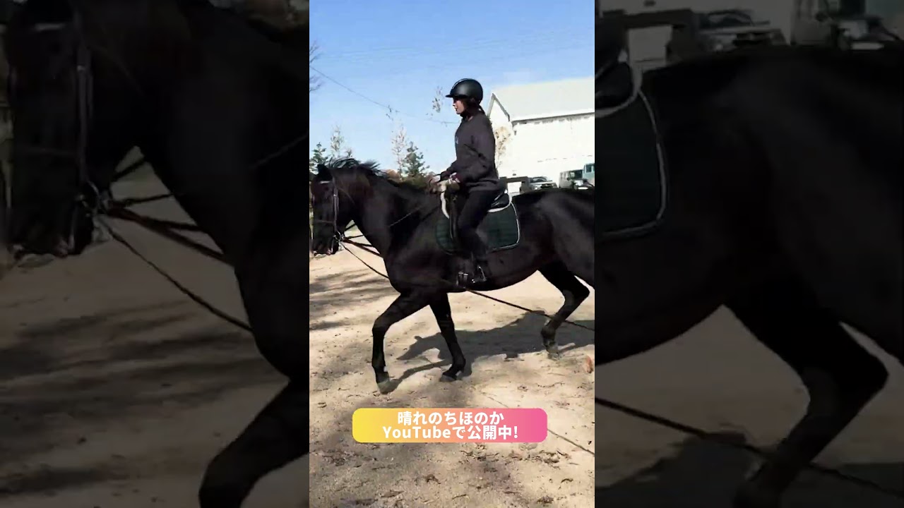 ビービーガルダンに乗馬したら速すぎた！