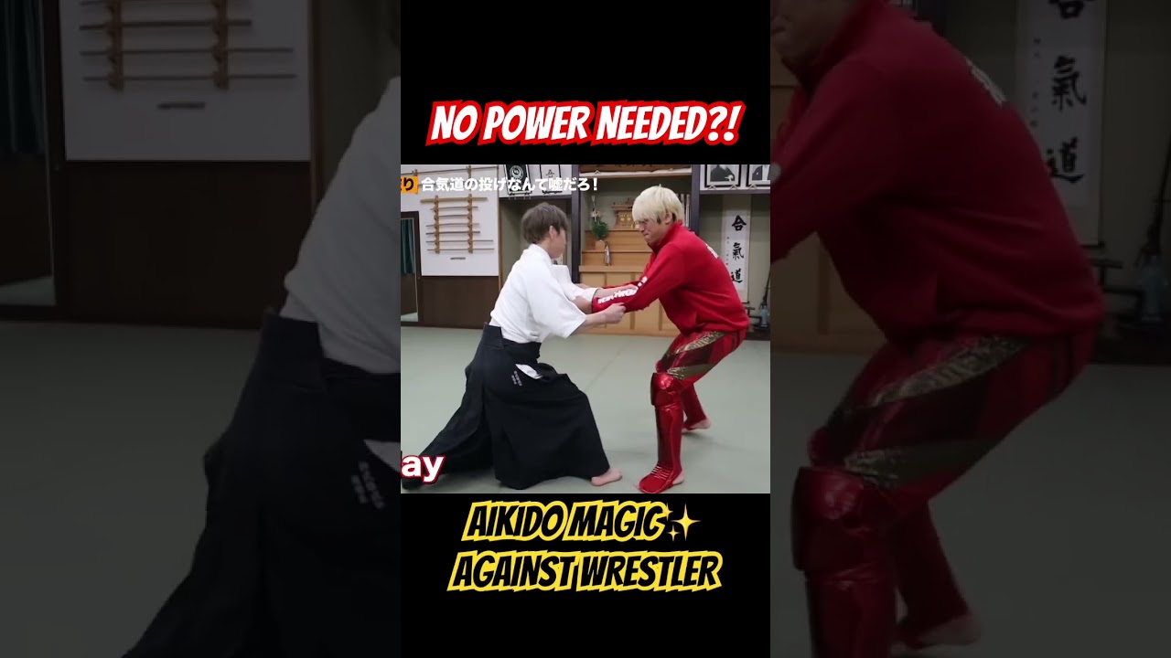 SHOCKING! Wrestler Gets Hit by a Perfect Aikido Throw!  #Aikido #Budo #Tossed #Puroresu #Wrestling