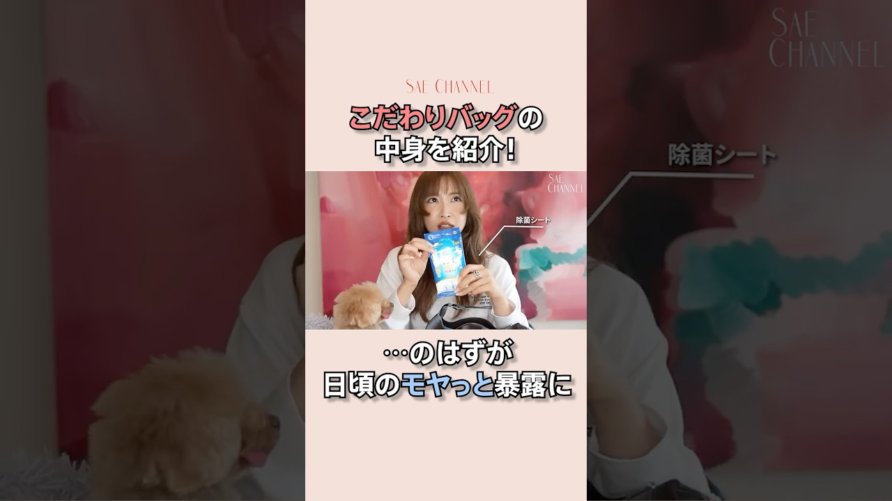 紗栄子の【カバンの中身】紹介🩷#紗栄子#美容 #ファッション#購入品紹介