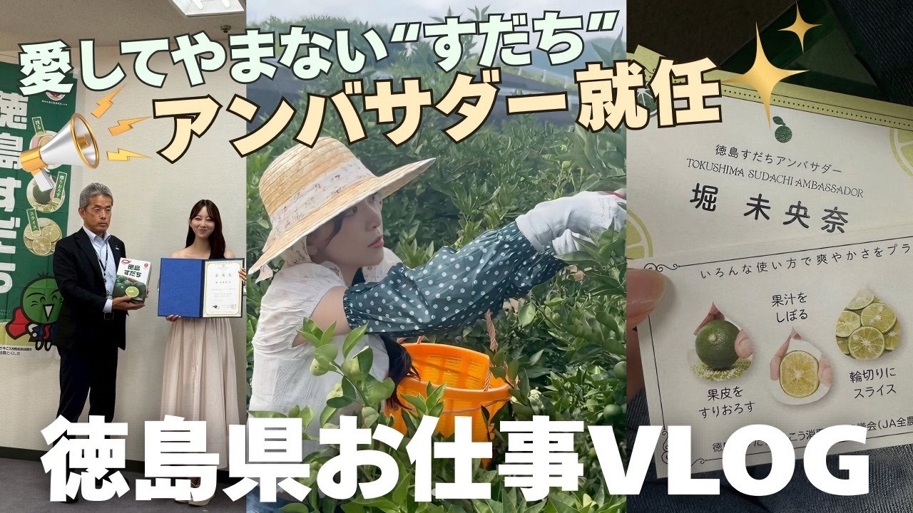 ついに…すだちアンバサダーに就任しました🪽💫徳島vlog/就任式/収穫体験/うだつの町並み/阿波踊り