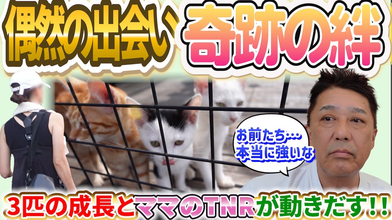 バラバラに保護されたのに…偶然の保護が生んだ“家族以上”の絆