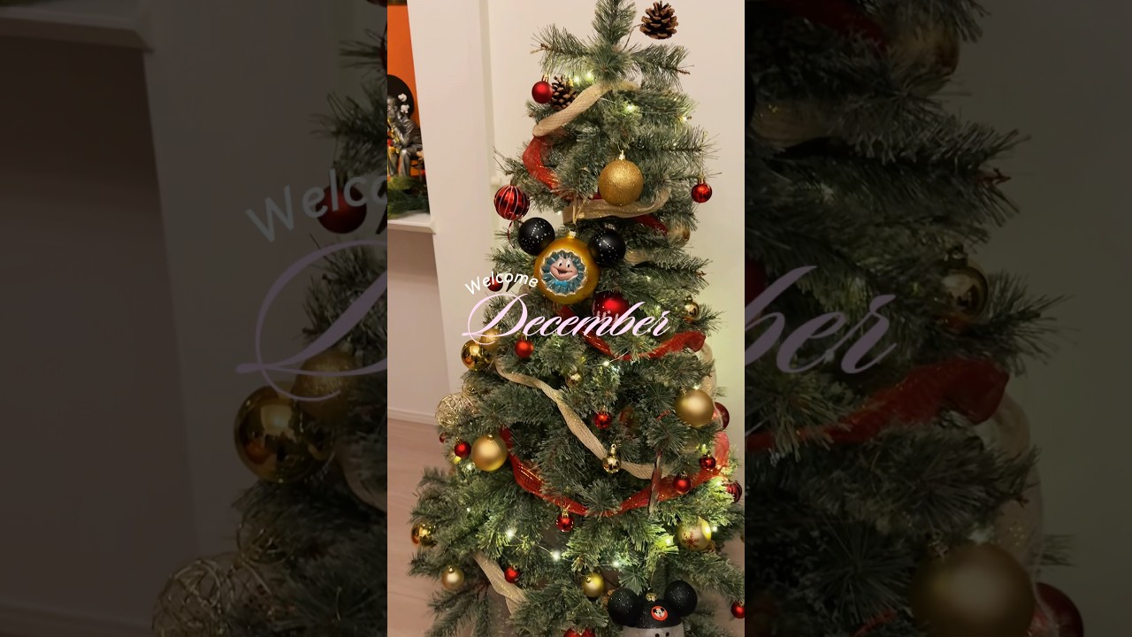 #クリスマス #クリスマス準備 #クリスマスツリー #christmas #xmas