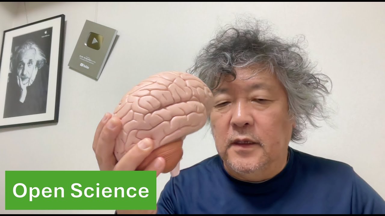 脳オルガノイドの可能性と課題