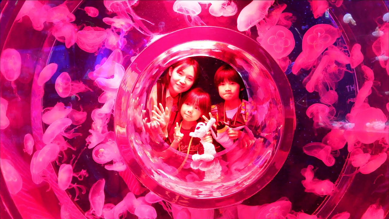 SEA LIFE バンコクに行ってきた🇹🇭