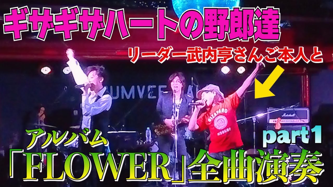 【チェッカーズ】2025年品川のギザギザ野郎の仲間たちPart１