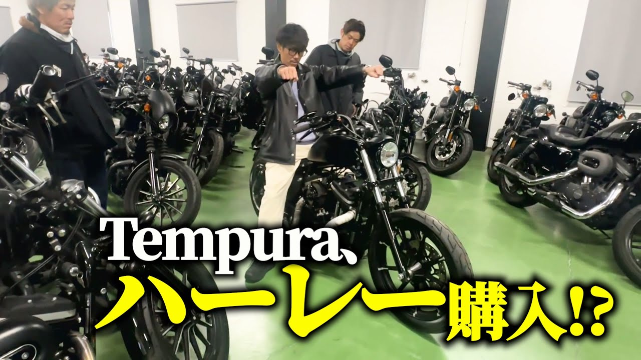 【ハーレーダビッドソン】Tempura、ガチでバイクを買う！？