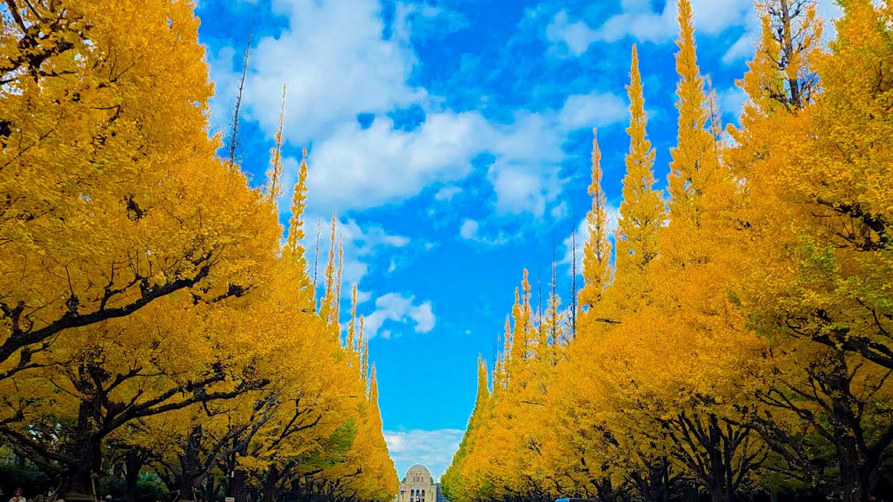 #481【ドライブ!!】遅れました。ごめんなさいの日