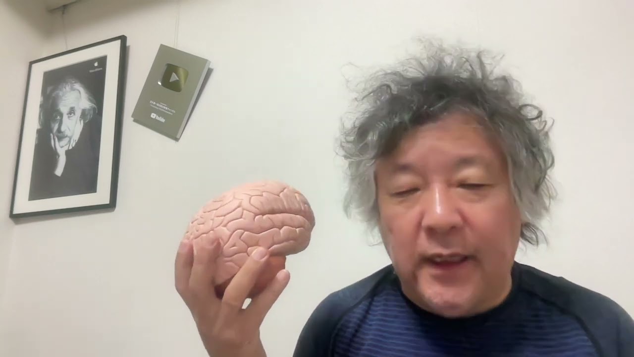 ノイズに満ちた神経活動と、意識。