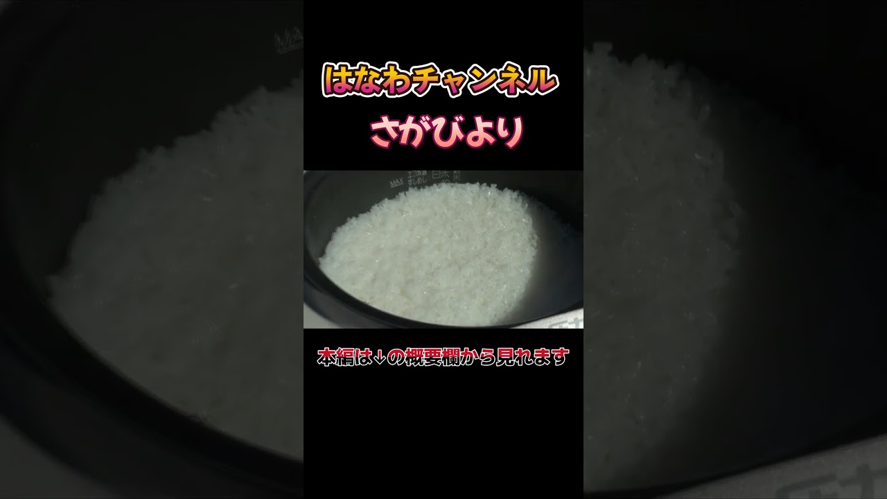 【畑で炊きたて🍚】さがびよりマイスターが炊く“がばい旨い新米”をその場で実食！#さがびより #佐賀 #はなわ家