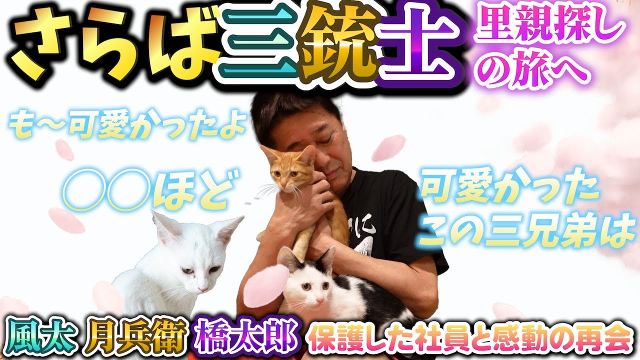 風！月！橋！俺たちトレーラーハウスの三銃士卒業してみた！！