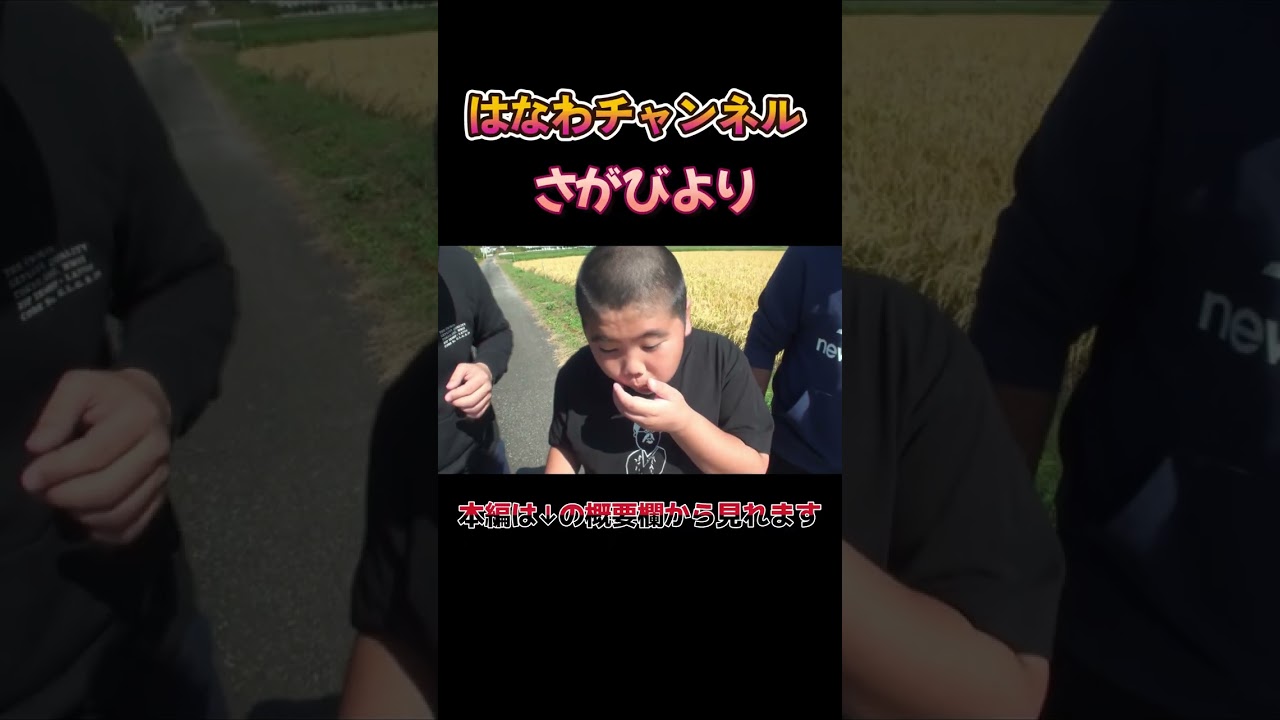 【新米の破壊力🤤】昇利が食べる炊き立て新米さがびより！佐賀海苔＆佐賀牛しぐれ煮で最強の味✨ #さがびより #佐賀グルメ #はなわ家