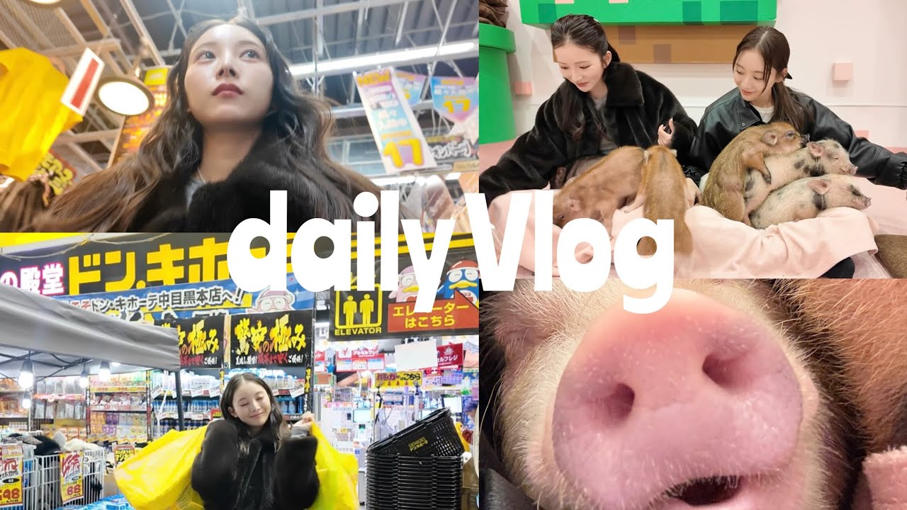 【VLOG】りほと🩵ドンキ爆買いして念願の豚カフェ行ったよ🐖❤️