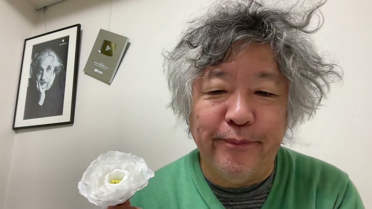 #脳科学スナック健子 今年いろいろと大変だったあなた、ここで癒やされてね。おつかれさま。