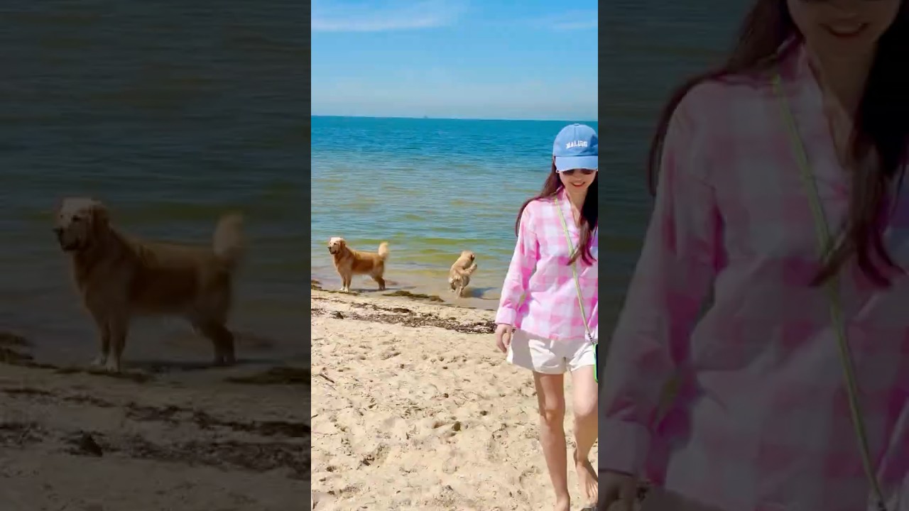 Summer Christmas vibes🎅🏝️🇦🇺 #Melbourne #SummerChristmas #doglover #谷村奈南 #ななむー #shorts