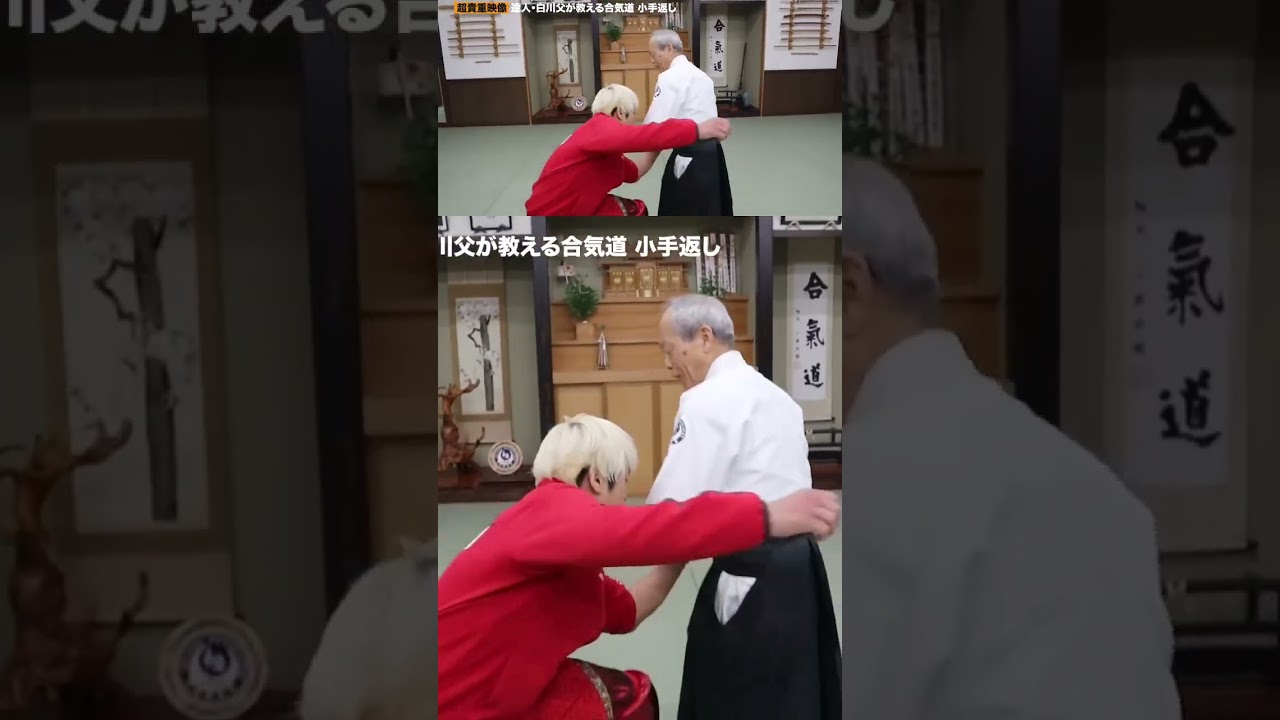 【激痛】おい！やめろ❗️プロレスラーが簡単に投げられた･･･合気道レジェンドのスゴ技。 #プロレス #aikido #合気道