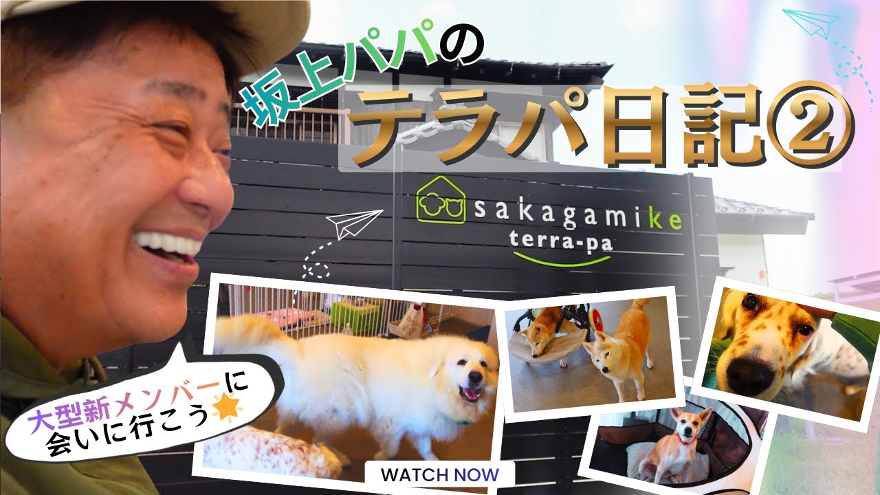 【大型新メンバーに会いに行こう】坂上パパのテラパ日記②〜可愛すぎる老犬たちの魅力をお届け♡〜