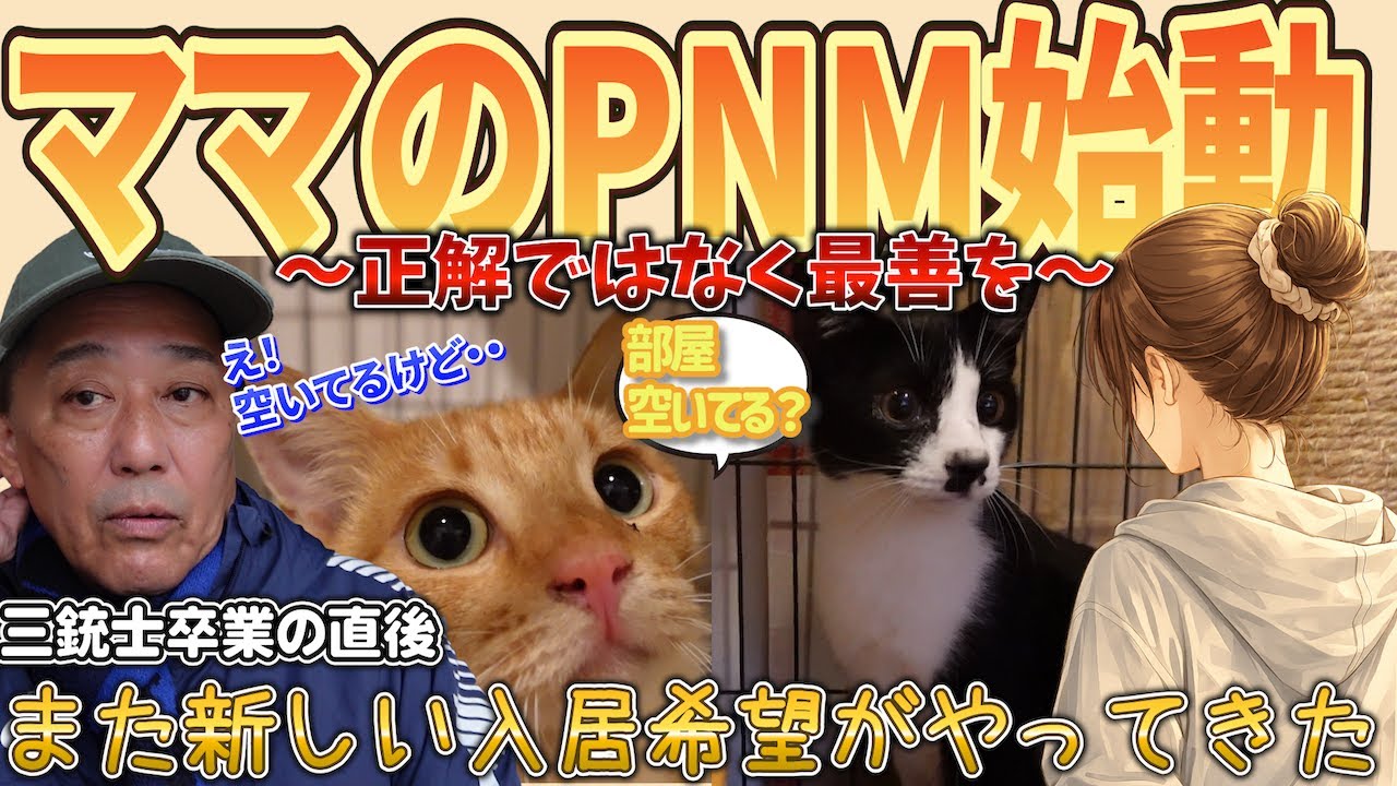 ママのPNMついに始動。三銃士卒業の日に保護したふたり