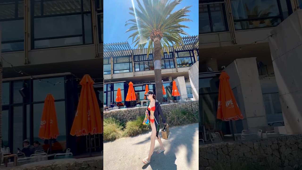 🐕‍🦺💕#Melbourne #DogLover  #HealingVibes #谷村奈南 #ななむー #shorts