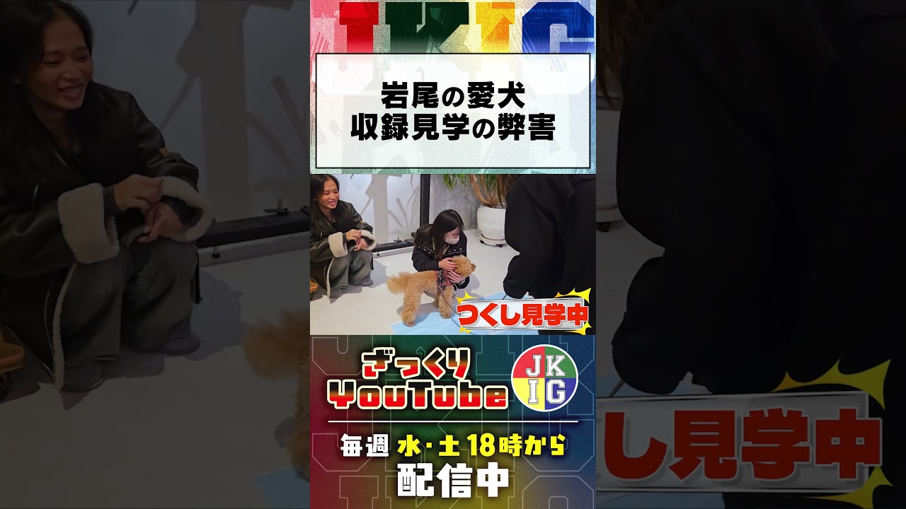 岩尾の愛犬「つくし」見学の弊害　#ざっくりYouTube