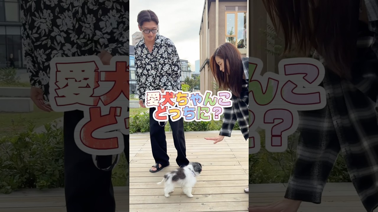 愛犬ちゃんこ、呼んだら夫と妻どっちに来る？🐶❤️