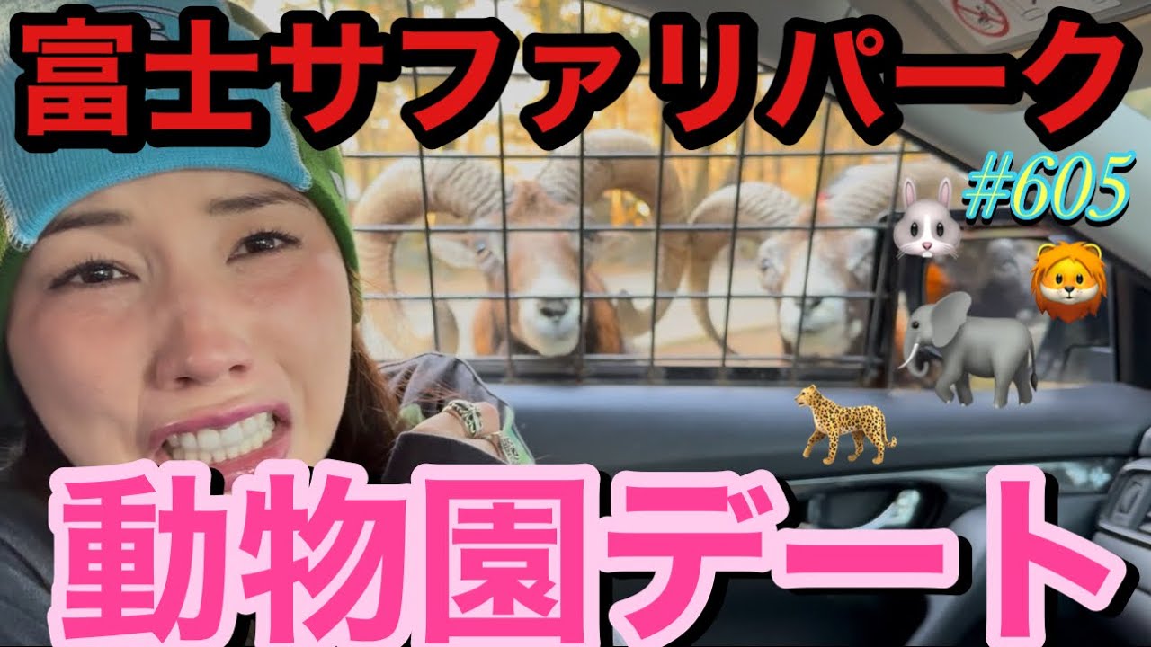 富士サファリパークで動物園デートしたけどまじで近すぎちゃってどうしようすぎてまじで興奮通り越して一瞬回って怯えてて草って感じでチーターの赤ちゃんがいて激レアパークだった