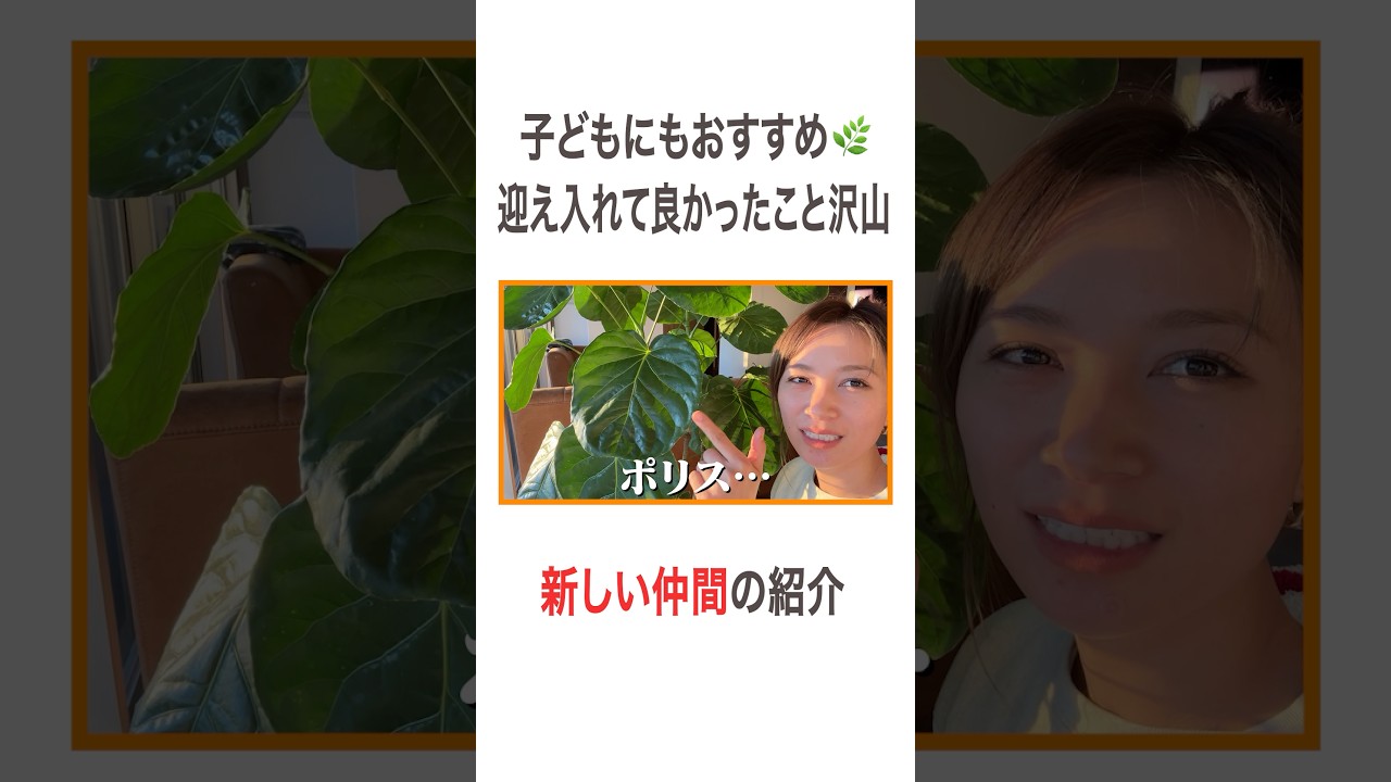 子どもにもおすすめ🌿 迎え入れて良かったこと沢山 新しい仲間の紹介 #高橋ユウ#yutakahashi #新しい家族 #新しい仲間 #家族 #観葉植物 #インテリア #お部屋作り #二児の母