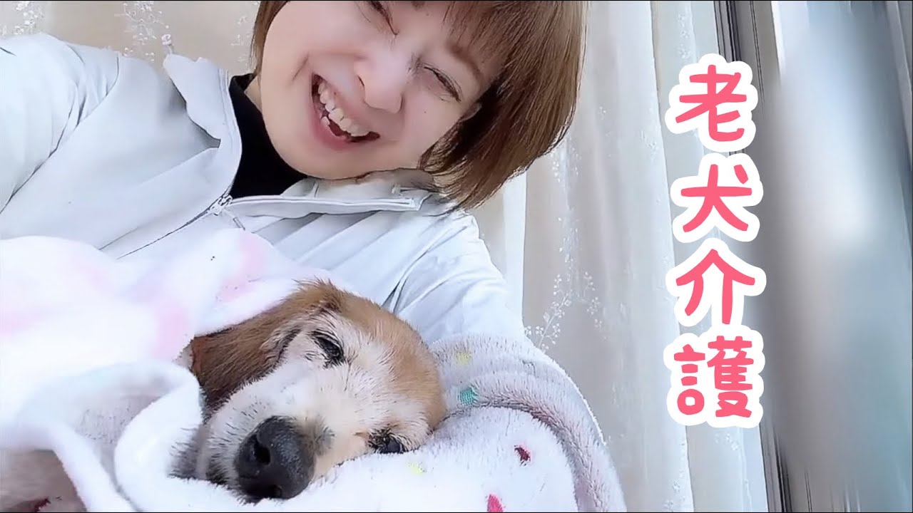 てんかん発作発症の後24時間介護始まりました【老犬介護No.137】