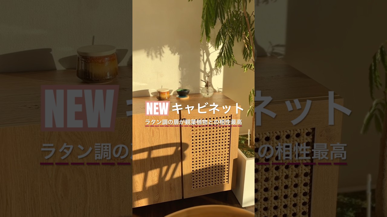 【必見】お気に入りキャビネット♡ ラタン調の扉が観葉植物と相性良い🌿 #高橋ユウ#yutakahashi #インテリア #LOWYA #キャビネット #収納 #お部屋作り