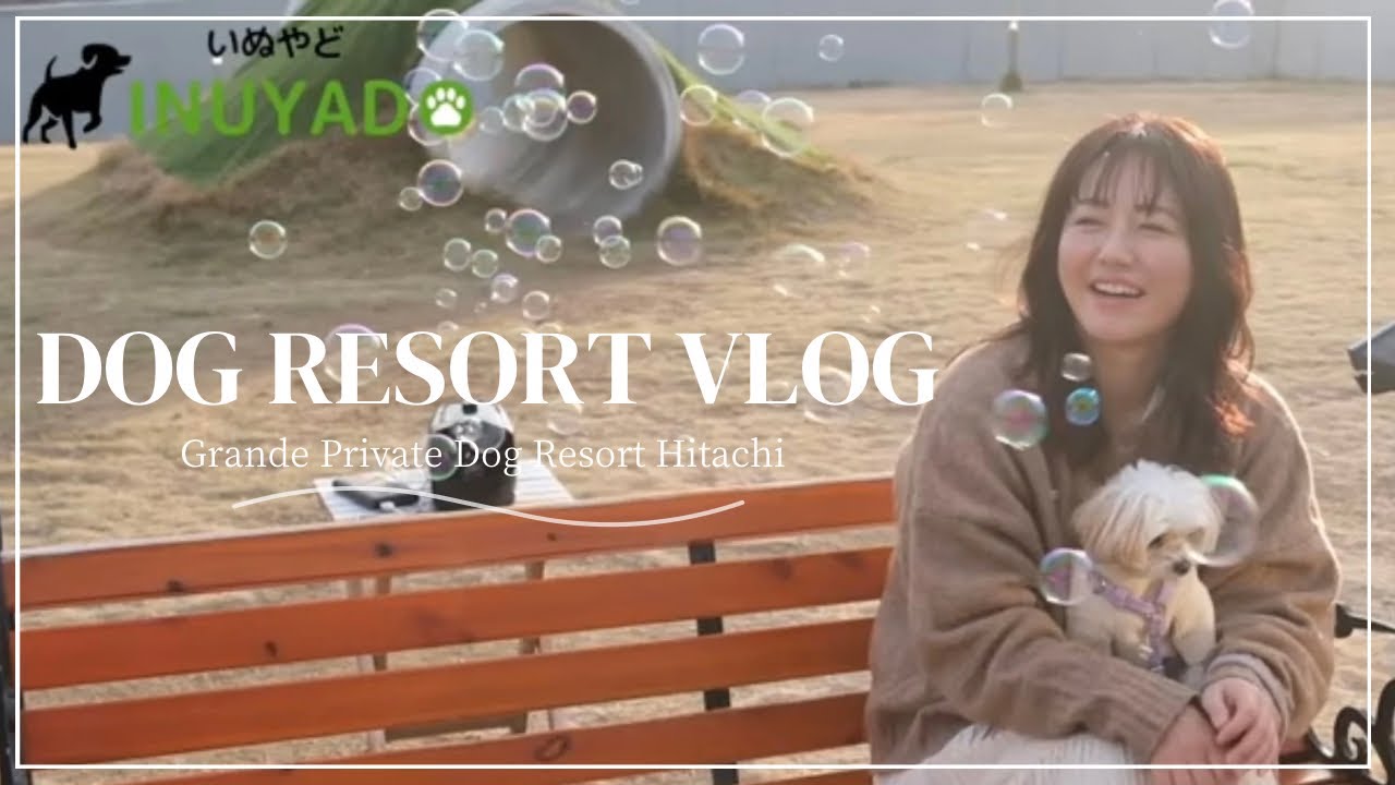 いぬやどさんの取材で、愛犬と泊まれるホテルご紹介！