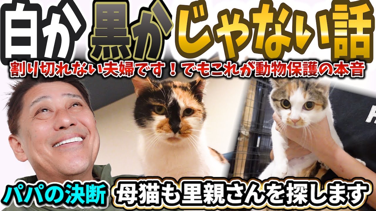 割り切れない夫婦が向き合った現実 白か黒かでは語れない現場の話