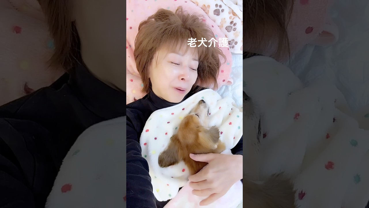 雪の日曜日☃️（老犬介護）