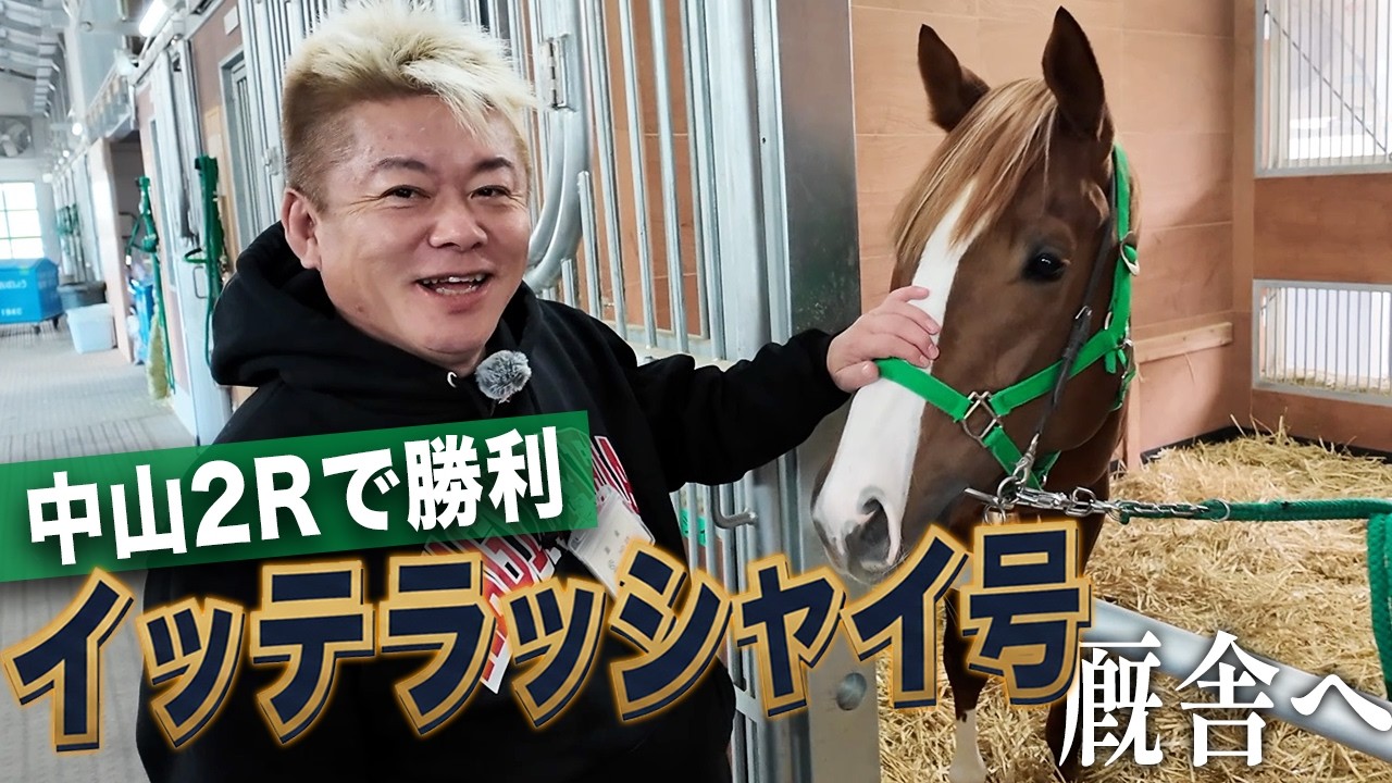 ホリエモンの所有馬「イッテラッシャイ号」に会いに行きました【馬主復活】
