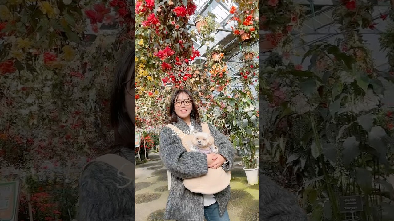 綺麗なお花を一緒に見てきた！