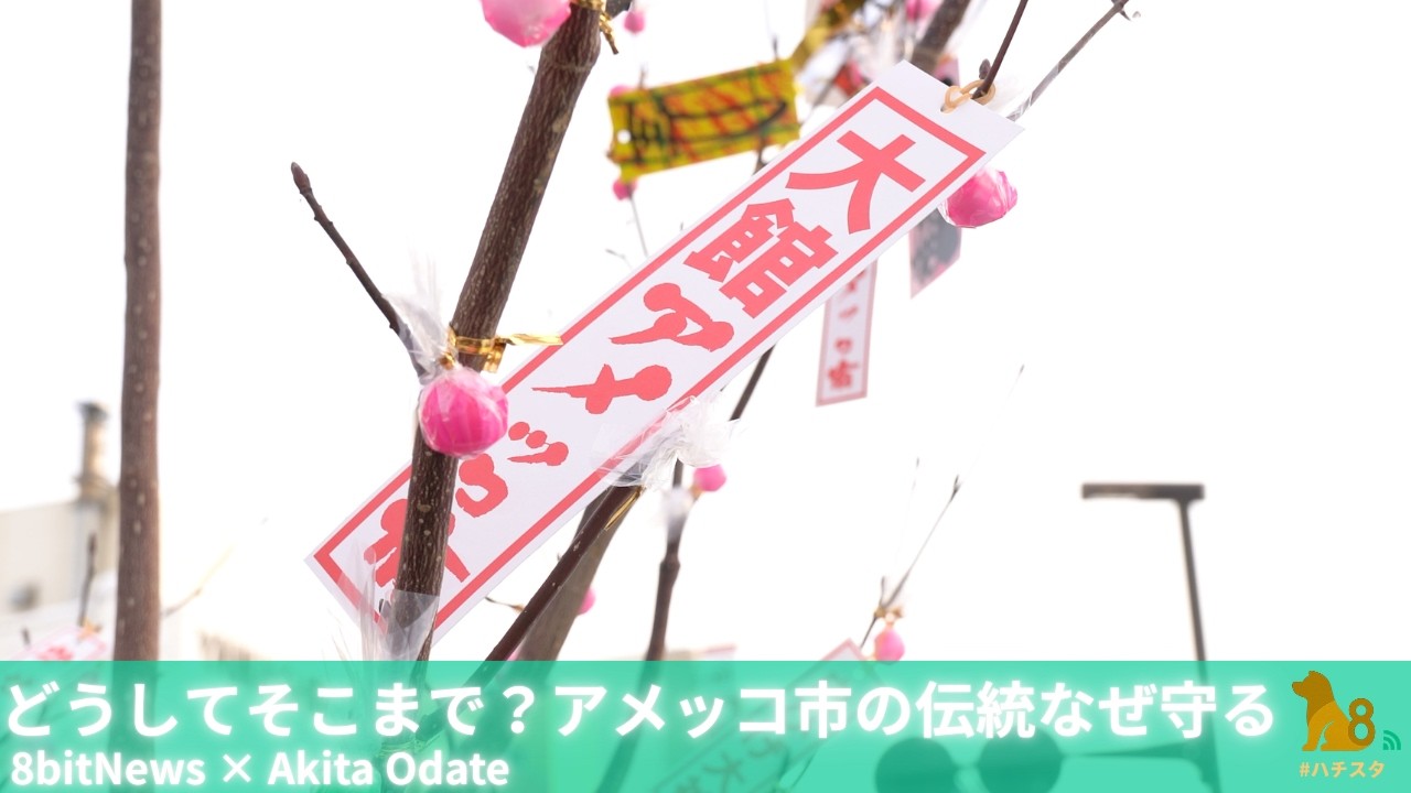 どうしてそこまで？大館・アメッコ市の伝統なぜ守る　#8bitnews