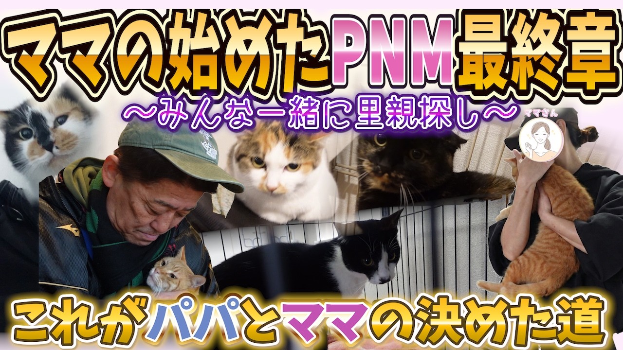 見送る決断と6匹の未来〜Bigミー一家とだんちょびの卒業の日