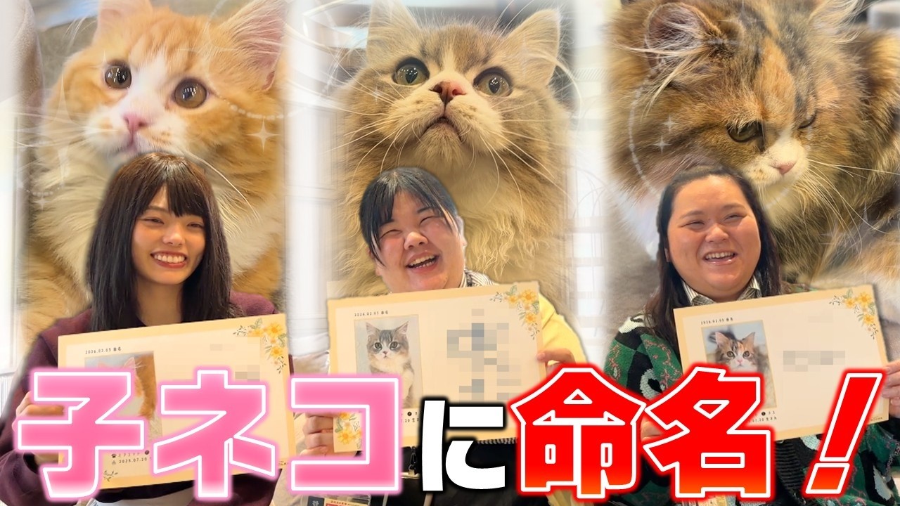 ぼる塾が子猫の名付け親になりました！