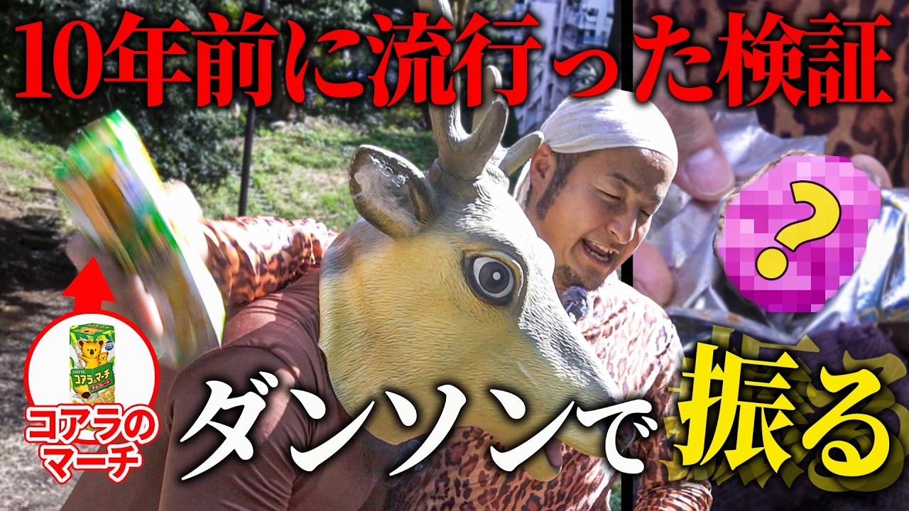 【検証】ダンソンの動きでコアラのマーチを振り続けてみた結果…!?【バンビーノ】