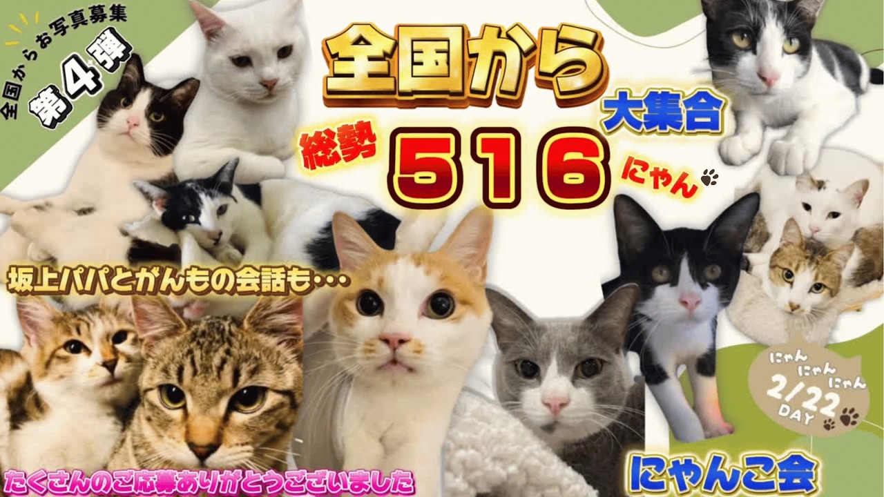 【全国から大集合！】にゃんこ会🐾