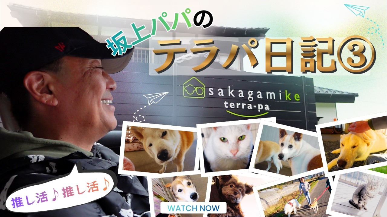 【推し活】坂上パパのテラパ日記③〜可愛すぎる老犬・老猫たちの魅力をお届け♡〜